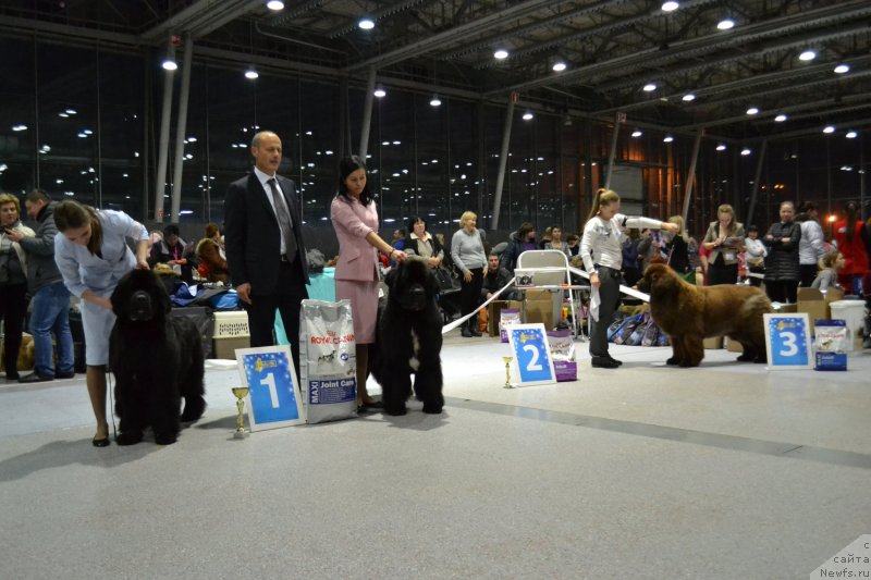 Фотография № 232085