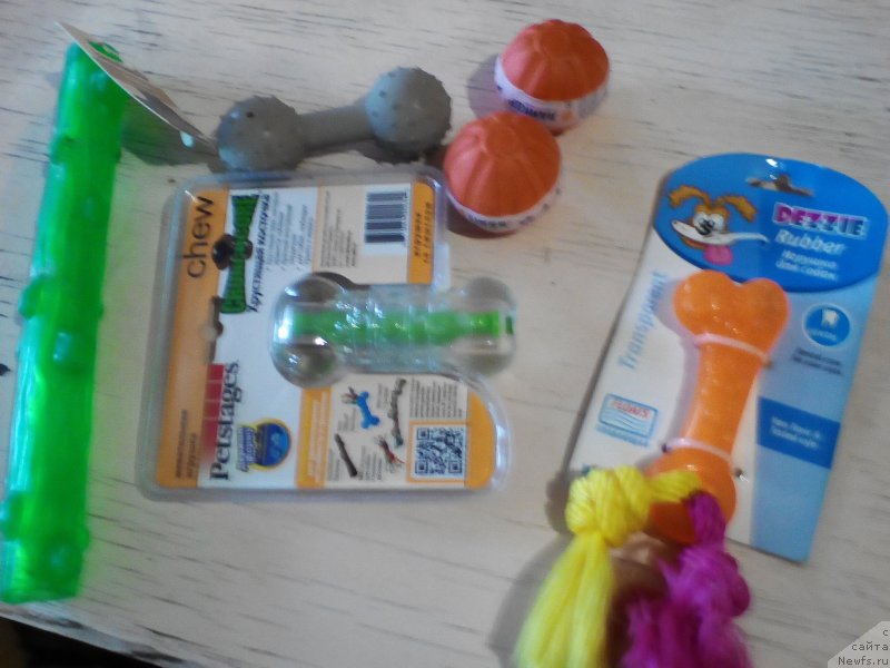 Фотография № 232095