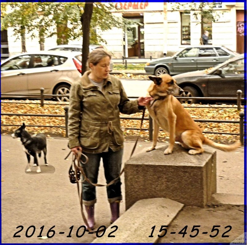 Фото: ДЖОКЕР, ВИТА, МИЛЕНА