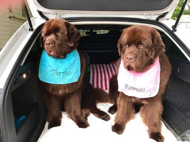 Фотография № 232111