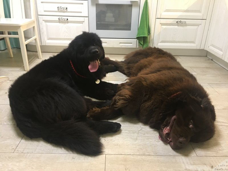 Фотография № 232126