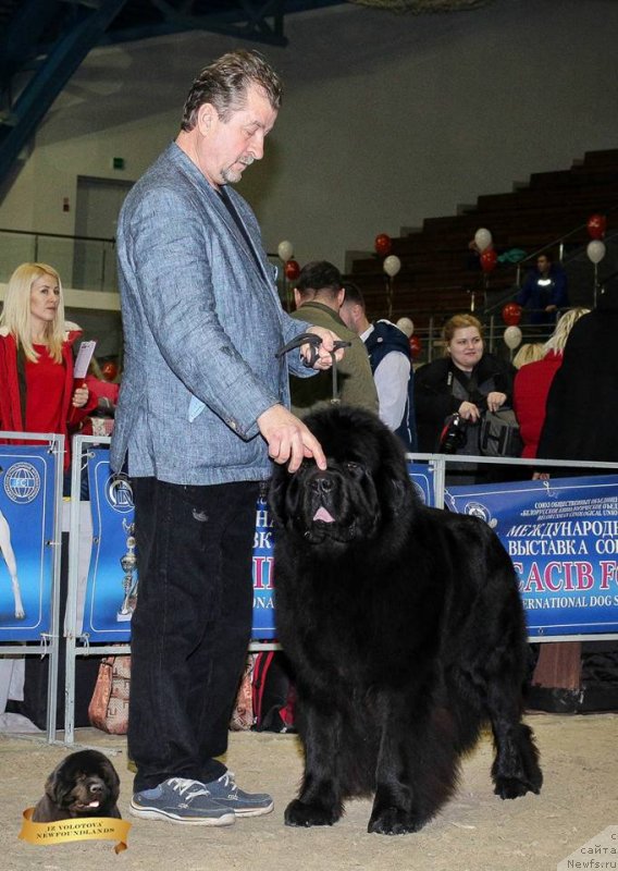 Фотография № 232137