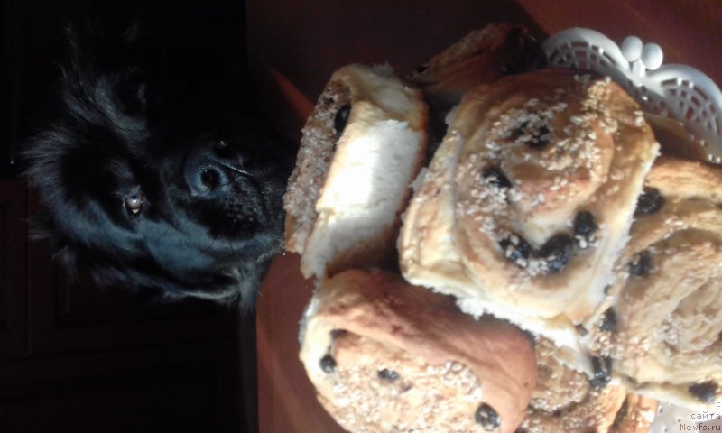 Фотография № 232158