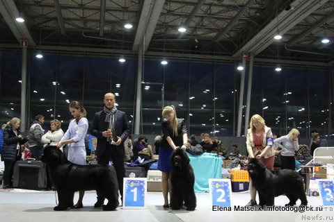 Фотография № 232184