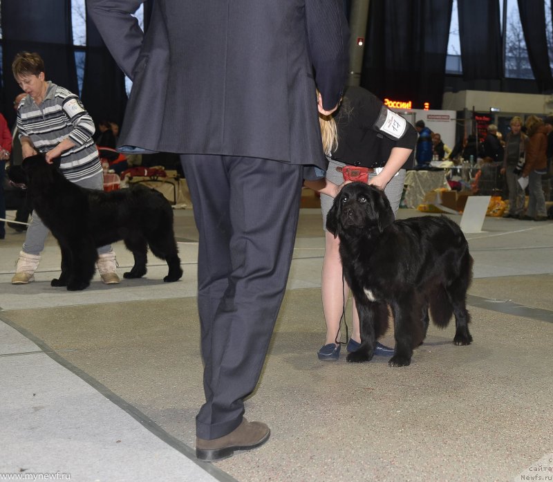 Фотография № 232185