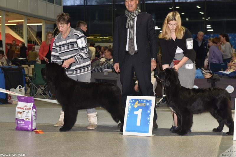 Фотография № 232187