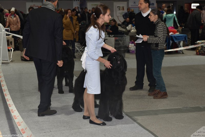 Фотография № 232194