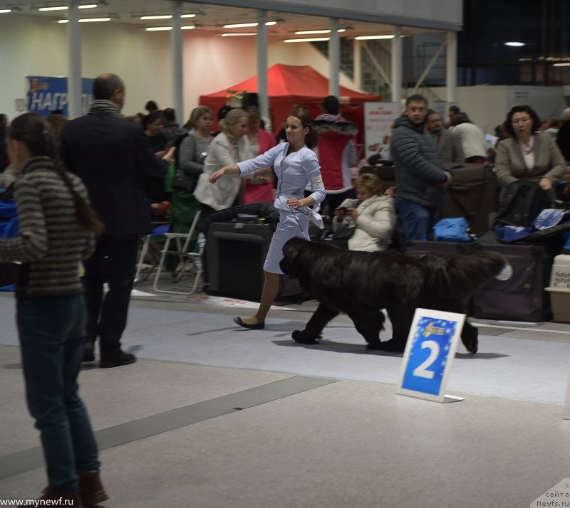 Фотография № 232196