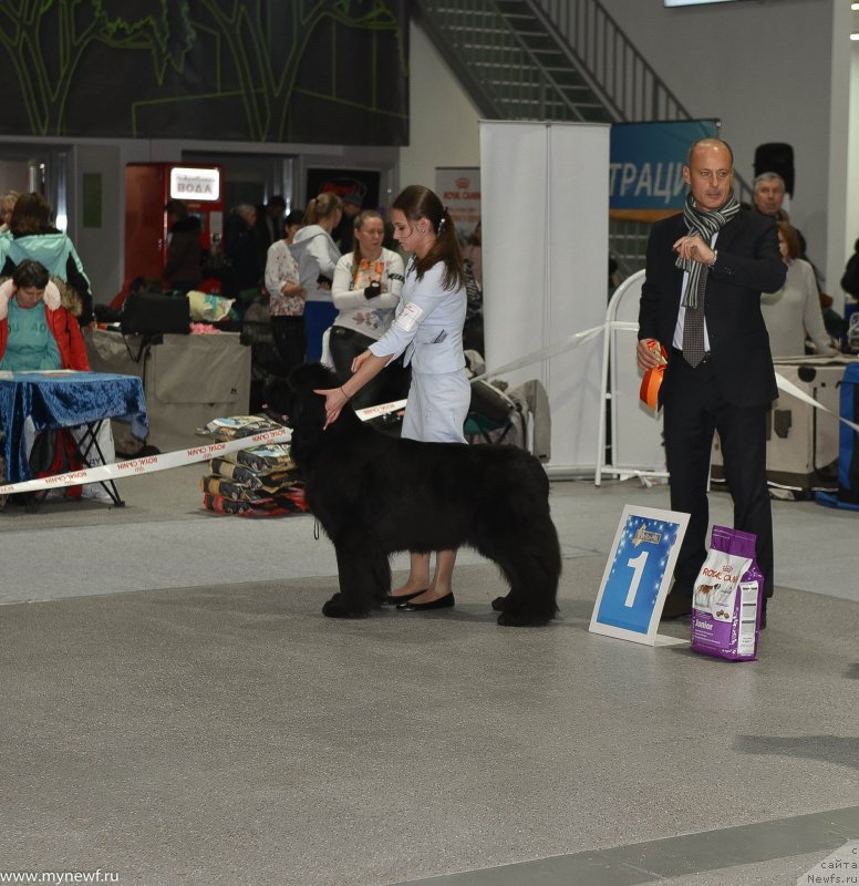 Фотография № 232197