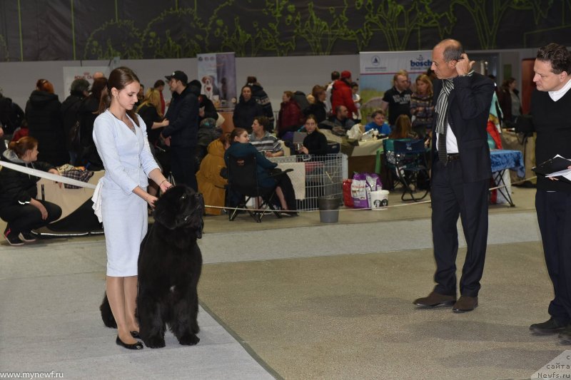 Фотография № 232199