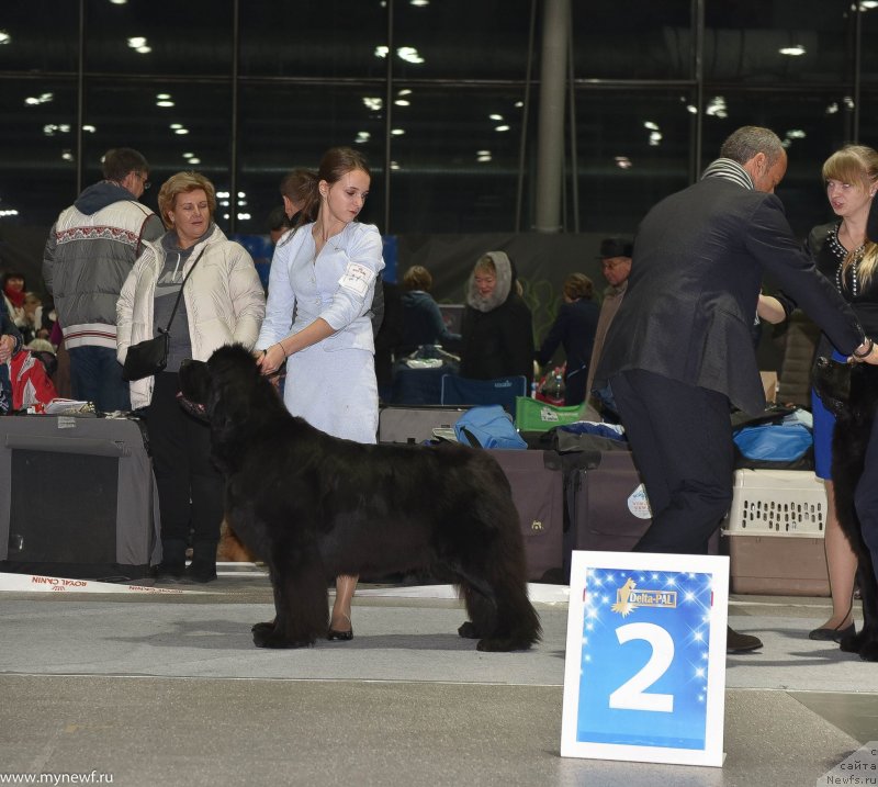 Фотография № 232207