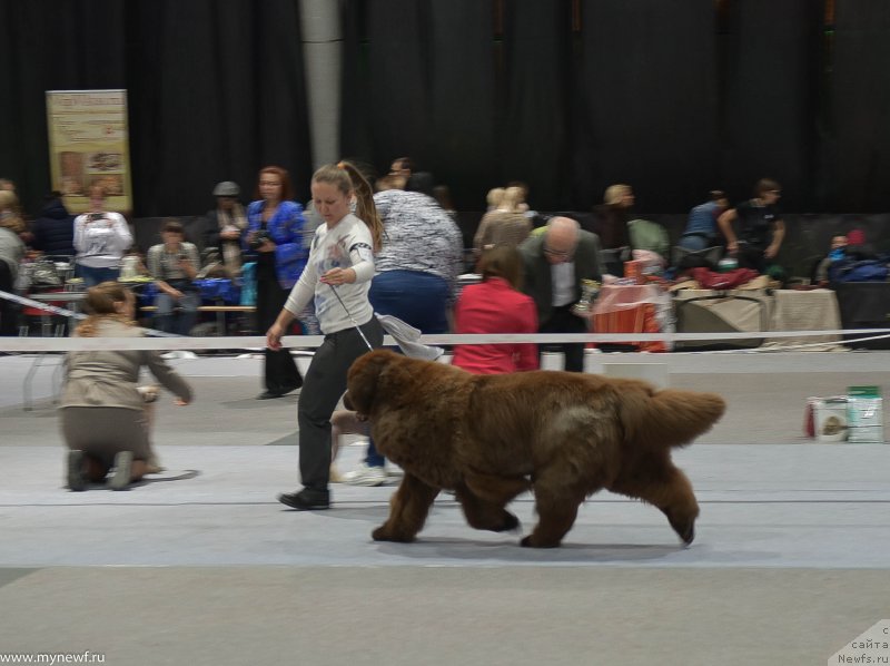 Фотография № 232212