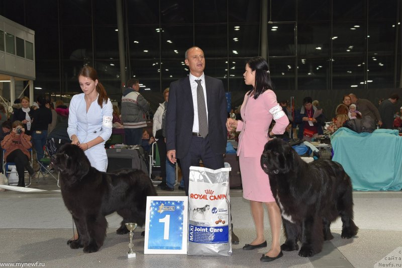 Фотография № 232214