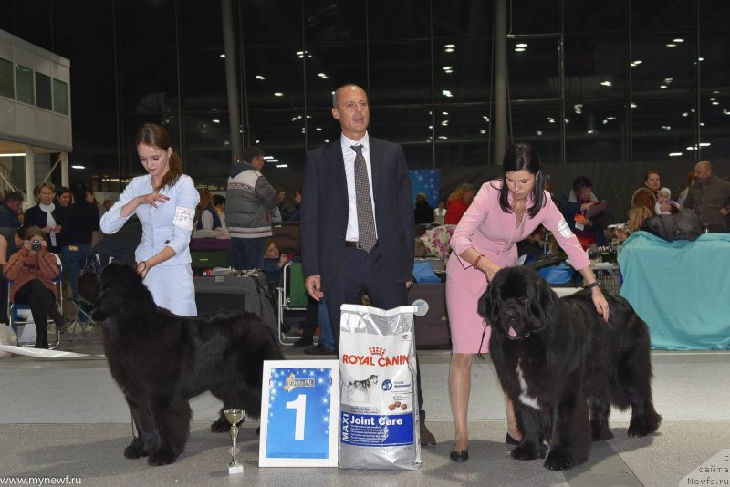 Фотография № 232215