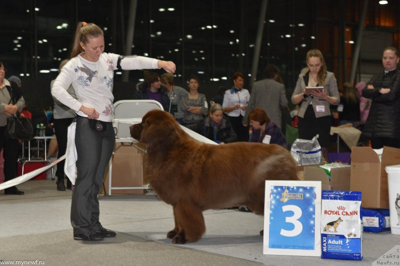 Фотография № 232217