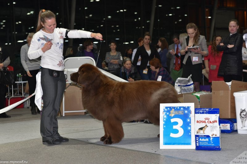 Фотография № 232218