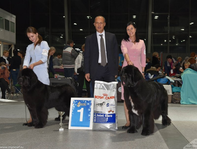 Фотография № 232219