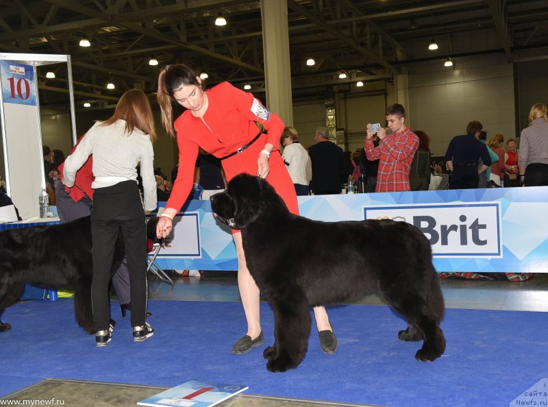 Фотография № 232225