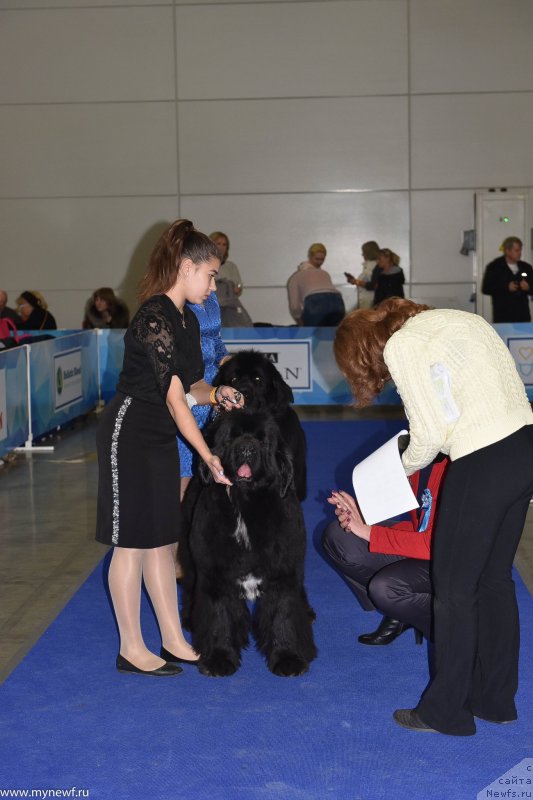 Фотография № 232227