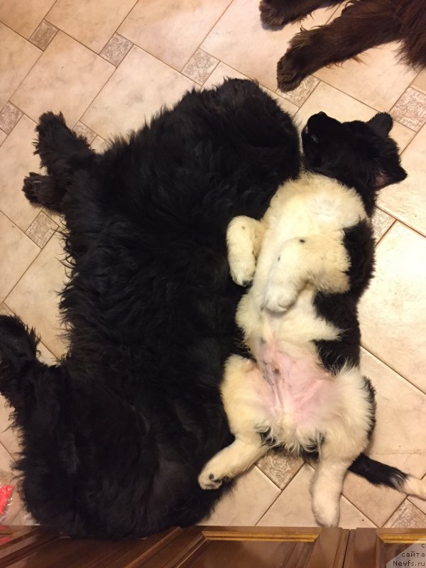 Фотография № 232255