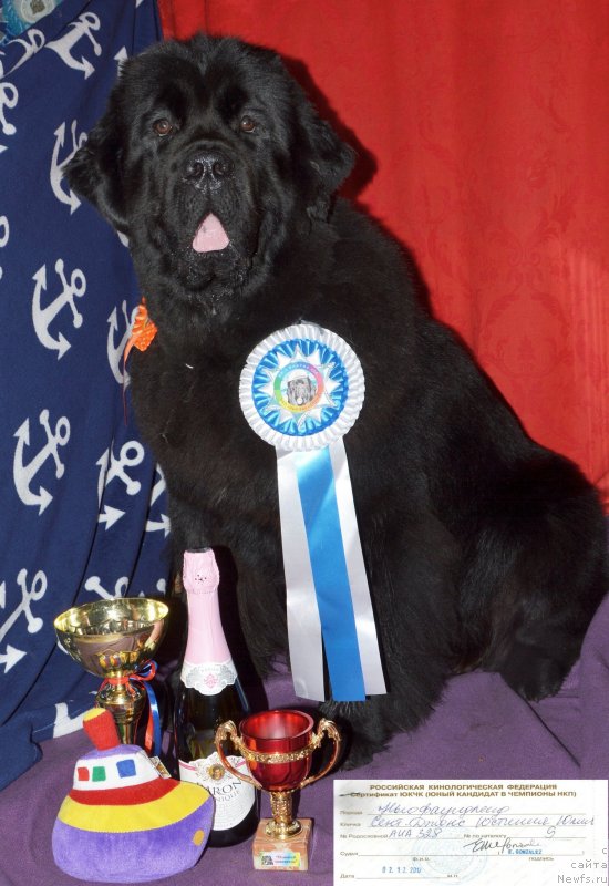 Фотография № 232268