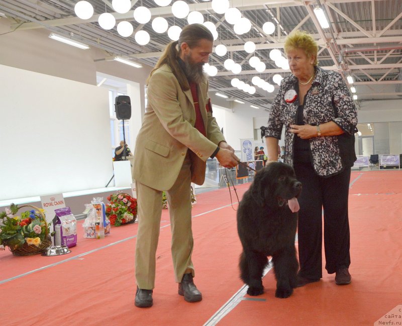 Фотография № 232271