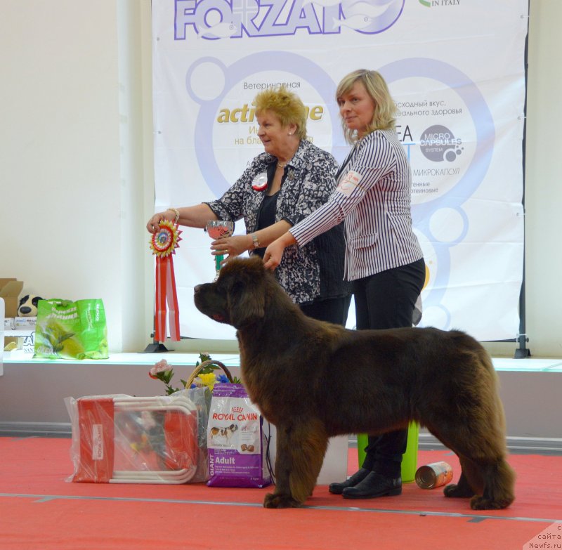 Фотография № 232272