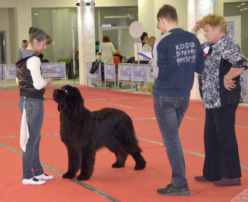 Фотография № 232275