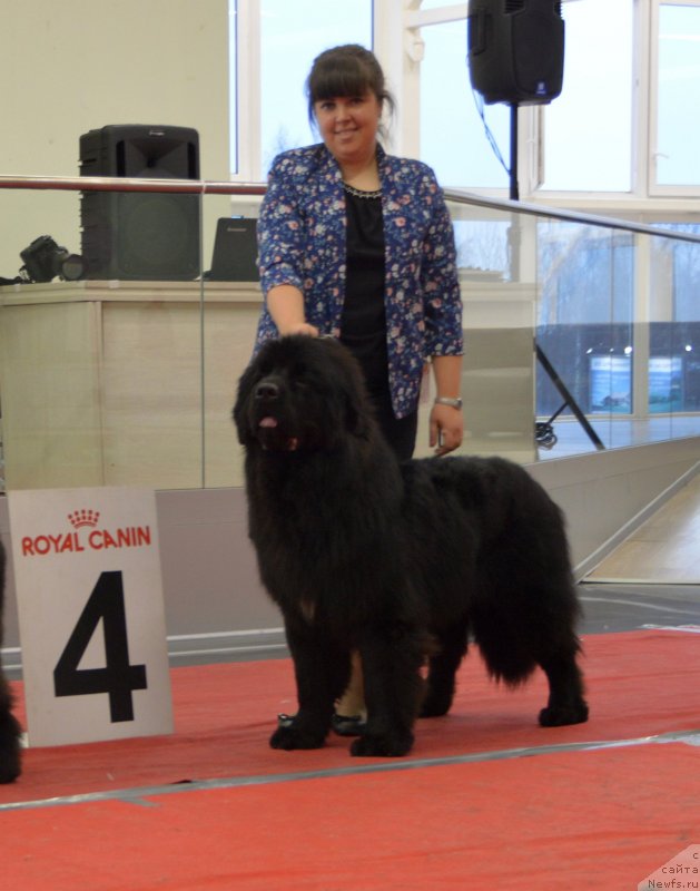 Фотография № 232276