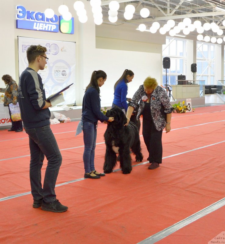 Фотография № 232277