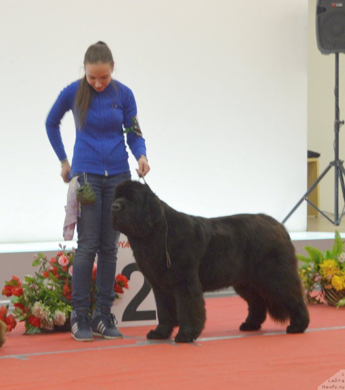 Фотография № 232278