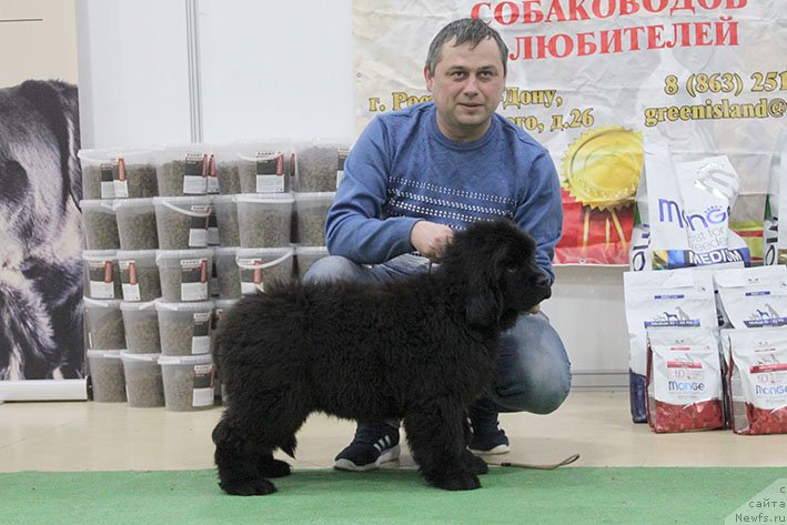 Фотография № 232303