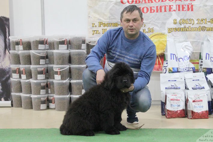 Фотография № 232304