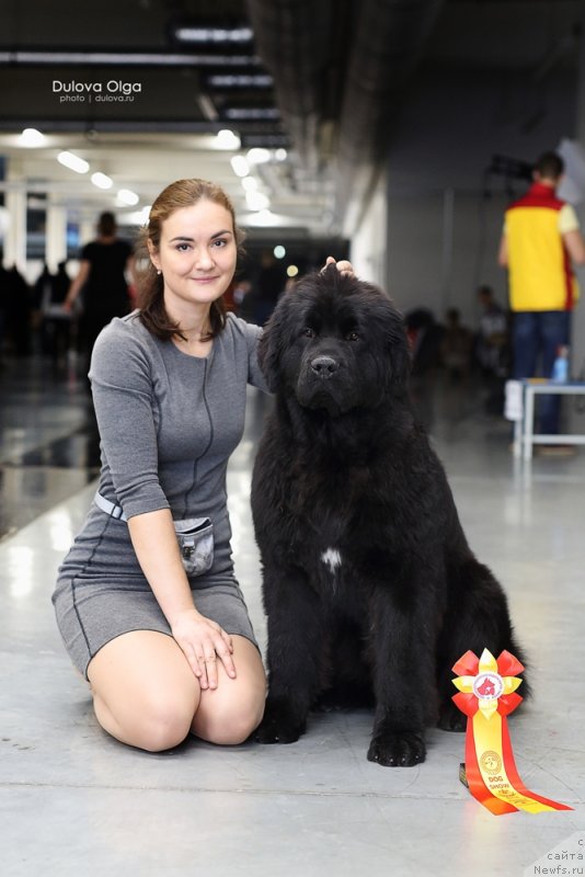 Фотография № 232307