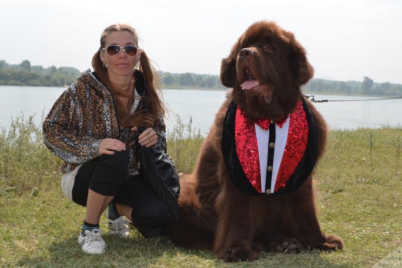 Фотография № 232317