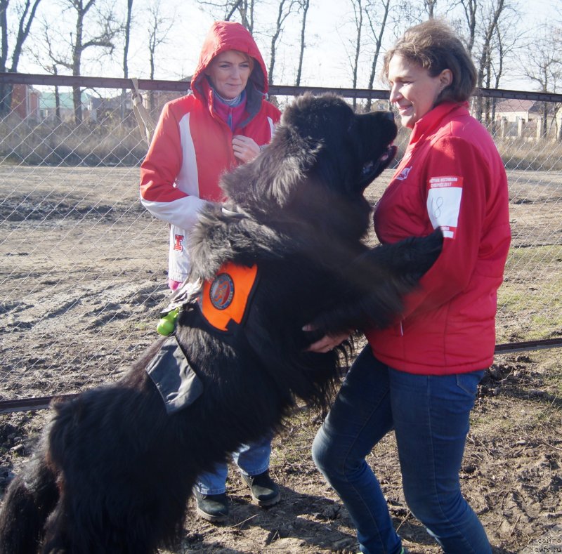 Фотография № 232321