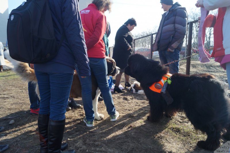 Фотография № 232322