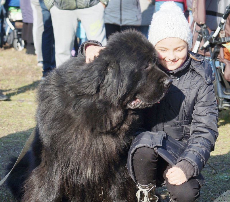 Фотография № 232324