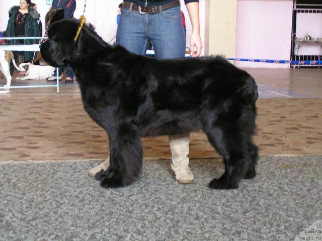 Фотография № 23233