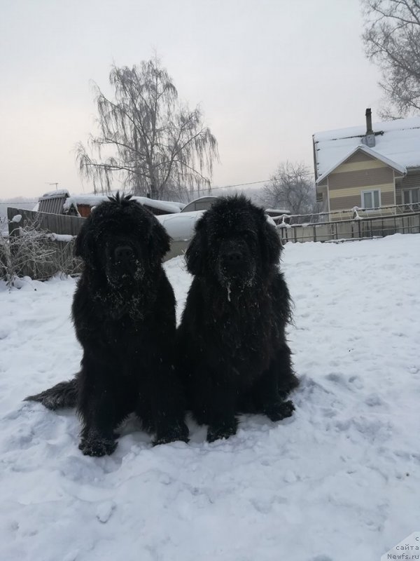 Фотография № 232338