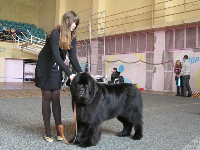 Фотография № 23234