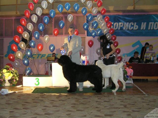 Фотография № 23235