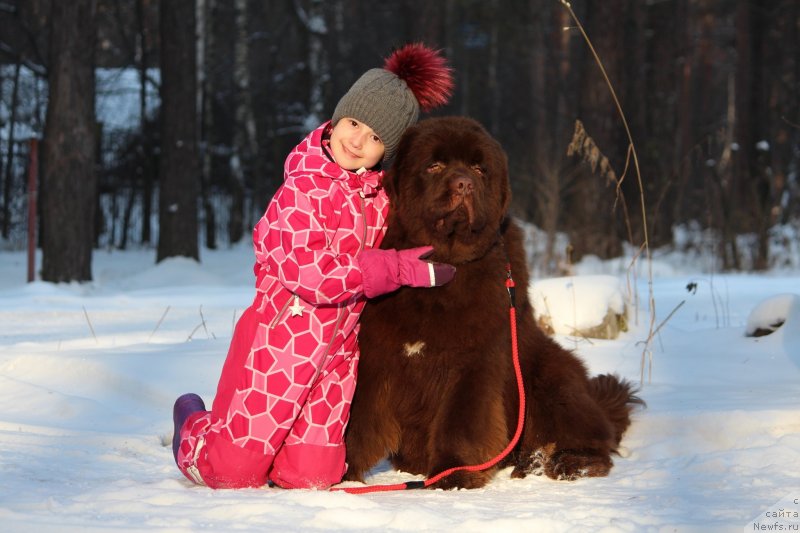 Фотография № 232359