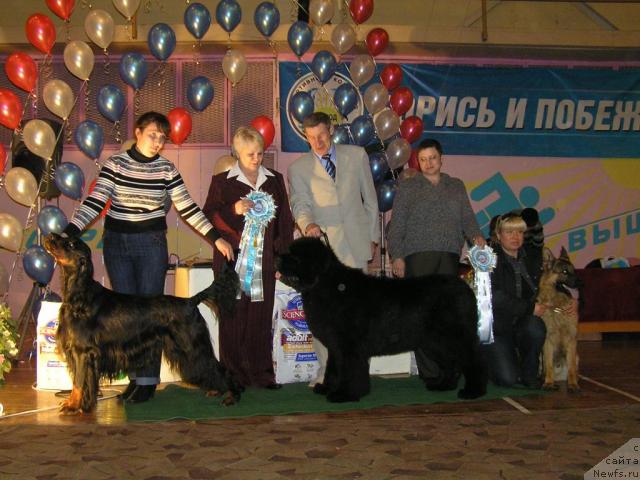 Фотография № 23236