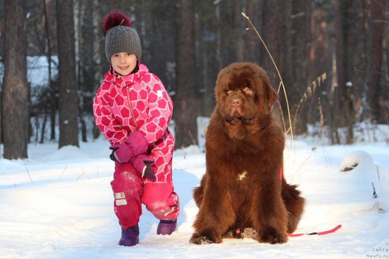 Фотография № 232360