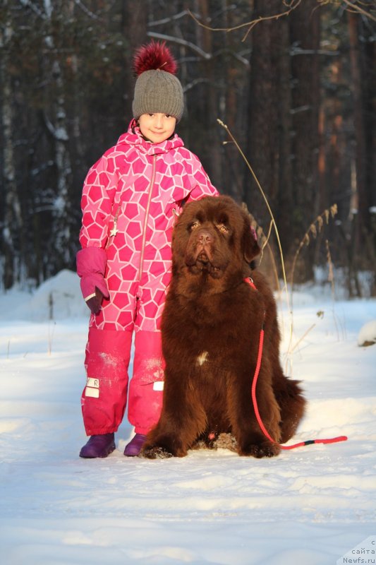 Фотография № 232361