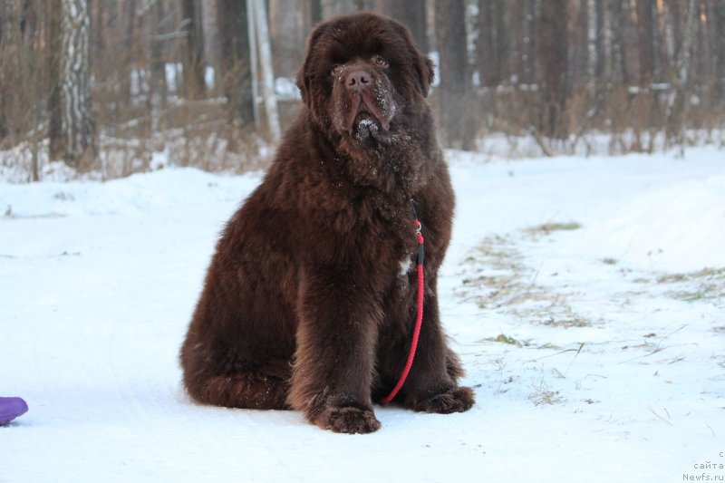 Фотография № 232362