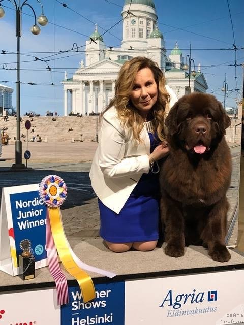 Фотография № 232377