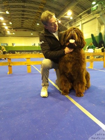 Фотография № 232378