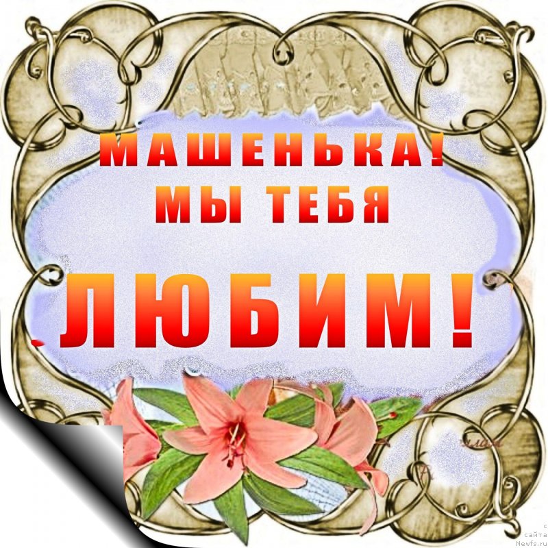 Фотография № 232538